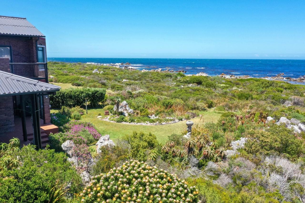 The Amaryllis Luxury Apartment Bella Donna Bettys Bay Exterior photo